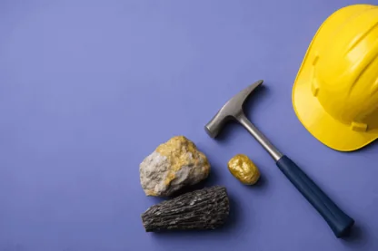 Previous Article Image