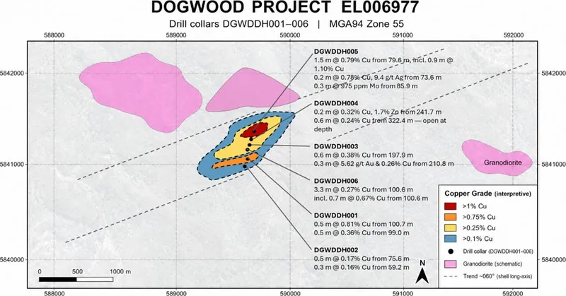 Interpretative Copper Grade shells schematic only. Holes 1-4 previously reported by FAU; holes 5 & 6 newly assayed by PXR. Coordinates in MGA94 Zone 55
