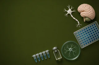 Neurizon Expands HEALEY ALS Trial Cohort to 240 Participants with Accelerated Timeline and Stable Costs