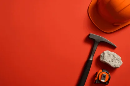 Previous Article Image