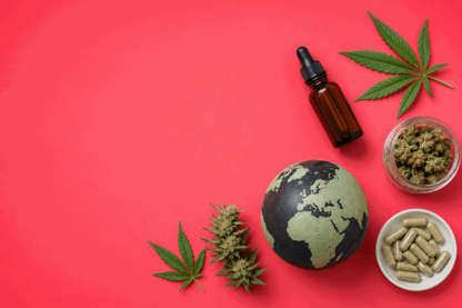 Cann Group Breaks into UK Market with 42% Revenue Surge and Tight Cash Flow