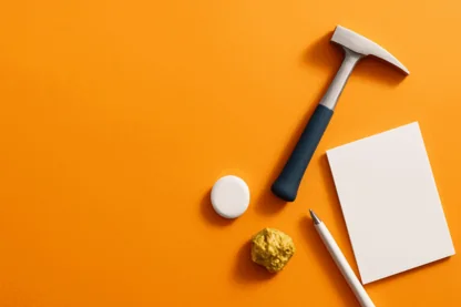 Previous Article Image