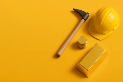 Previous Article Image