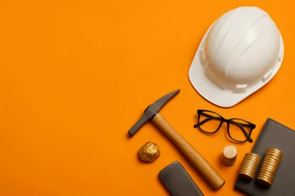 Previous Article Image