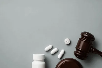 Previous Article Image