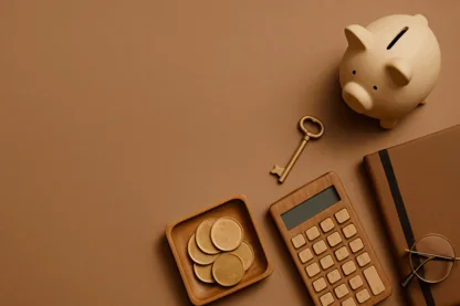 Previous Article Image