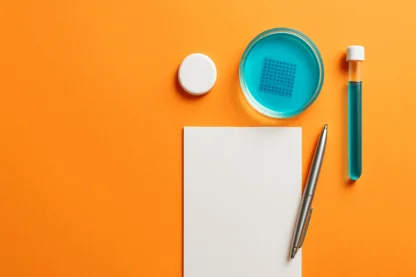 Previous Article Image