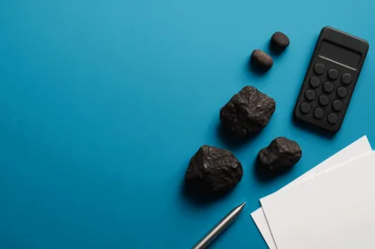 Previous Article Image