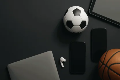 Previous Article Image