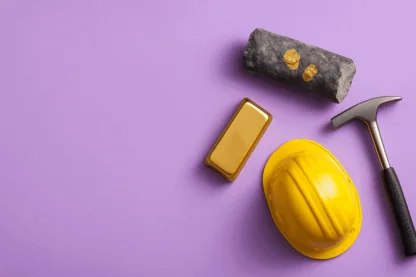 Previous Article Image