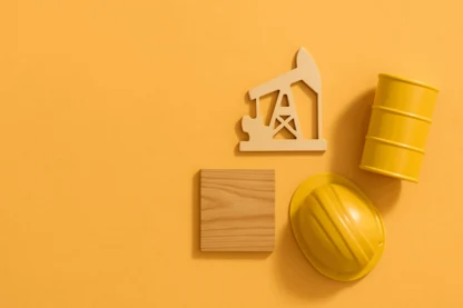 Previous Article Image