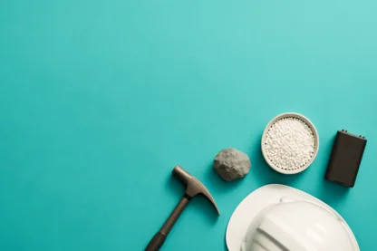 Previous Article Image