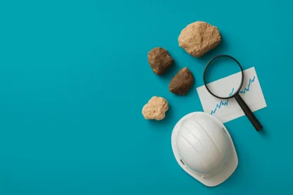 Previous Article Image