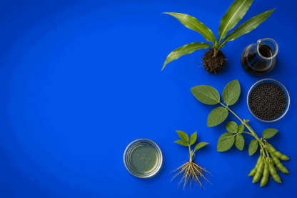 RLF AgTech Reports Record $18.3M Revenue and Positive EBITDA Amid Strategic Reset