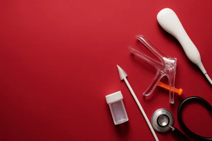 Previous Article Image