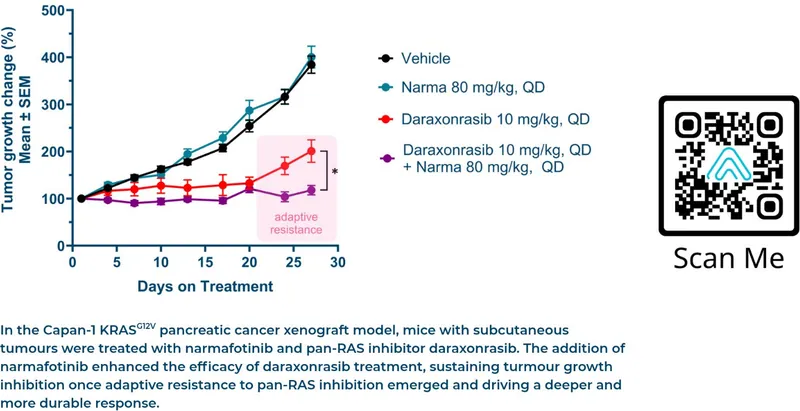 Chart from Amplia Therapeutics Limited’s announcement “Quarterly Activities/Appendix 4C Cash Flow Report”
