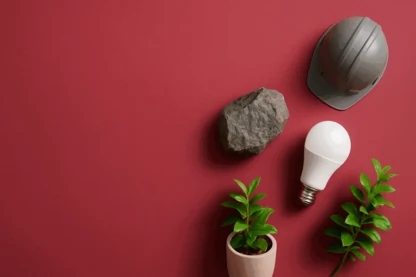 Previous Article Image