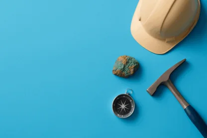 Previous Article Image