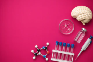 Actinogen Extends Cash Runway After Positive XanaMIA Interim Analysis