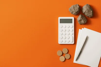 Previous Article Image