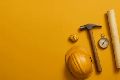 Previous Article Image