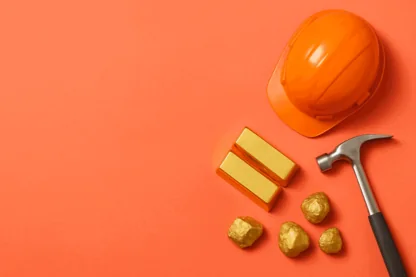 Previous Article Image