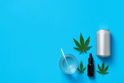 Previous Article Image