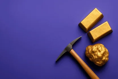 Previous Article Image