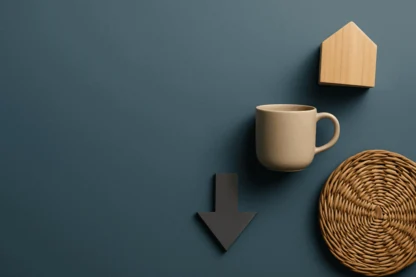 Temple & Webster Grows Revenue 20% but Profits Dip Amid NZ Expansion