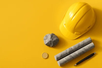 Previous Article Image