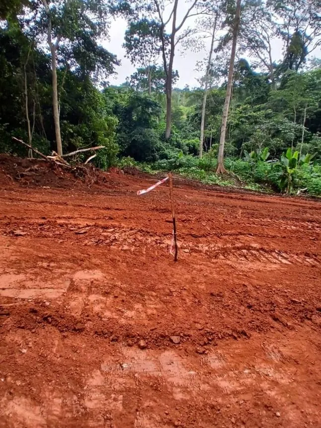 RC pad preparation at the Bondoukou Gold Ridge Project during the quarter