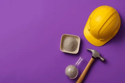 Previous Article Image