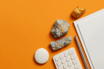 Previous Article Image