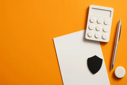 Previous Article Image