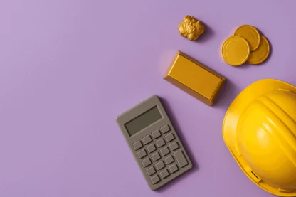 Previous Article Image