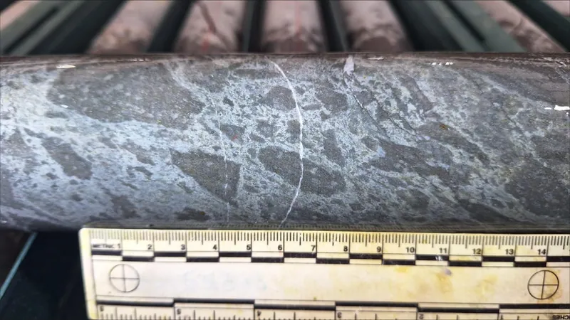 SD2602 strongly pyritic (50%) rhyolite at 1153.7m