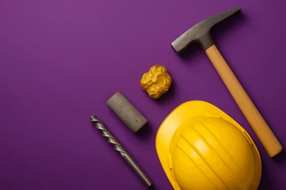 Previous Article Image