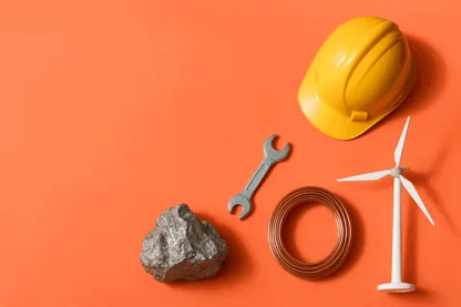 Previous Article Image