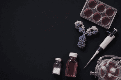 AdAlta Clears US$1M Milestone to Unlock BZDS1901 Data and Australian Manufacturing