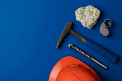 Previous Article Image