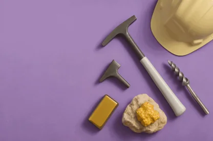 Previous Article Image