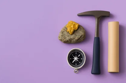 Previous Article Image