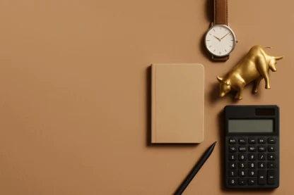 Previous Article Image