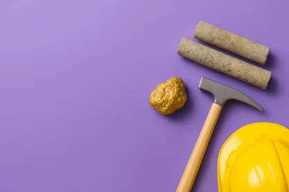 Previous Article Image