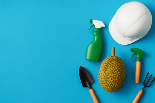 RLF AgTech Boosts Durian Yields by 38% in Vietnam Trial, Signals 10x ROI