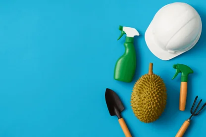 How RLF AgTech Achieved a 38% Boost in Durian Yields with Minimal Cost Rise