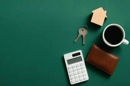 Previous Article Image