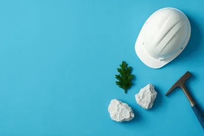 Previous Article Image