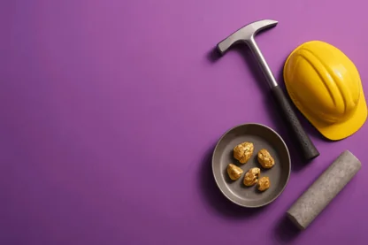 Previous Article Image