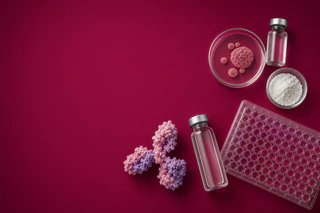 Percheron Raises $2.2M as HMBD-002 Advances Toward Phase II Trial